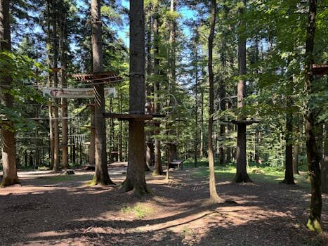 Bebé de alta demanda: ¿es tu hijo uno de ellos? 6 bebe de alta demanda es tu hijo uno de ellos 1