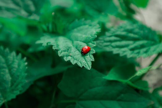 ¿Cuando empiezan a gatear los bebés? Edad, señales y tipos de gateo 5 cuando empiezan a gatear los bebes edad senales y tipos de gateo 1