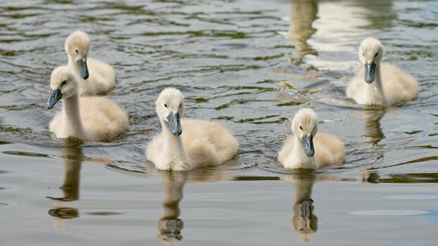 Desarrollo del bebé recién nacido: lo que necesitas saber 11 desarrollo del bebe recien nacido 5
