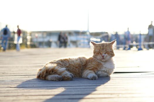 Dormir boca abajo a un bebé ¿es seguro? 6 dormir boca abajo a un bebe es seguro 1