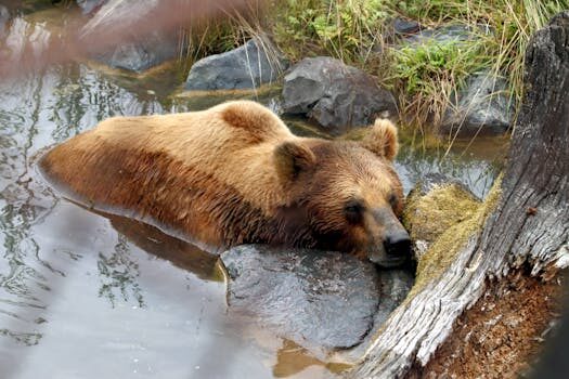 Dormir boca abajo a un bebé ¿es seguro? 7 dormir boca abajo a un bebe es seguro 2