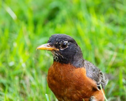 El mejor sacaleches manual – comparativa y guía de compra 7 el mejor sacaleches manual 8211 comparativa y guia de compra 3