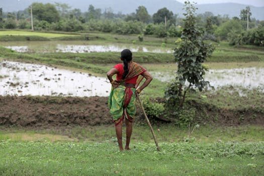 Inducir el parto: qué es y cuándo debe realizarse 8 inducir el parto que es y cuando debe realizarse 2
