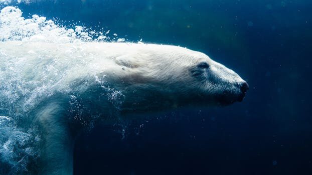 Mi bebé se mueve mucho en la barriga: ¿debo preocuparme? 5 mi bebe se mueve mucho en la barriga me preocupo 1