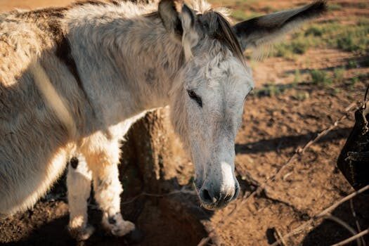 Ruido blanco para bebés: guía completa 5 ruido blanco para bebes 1