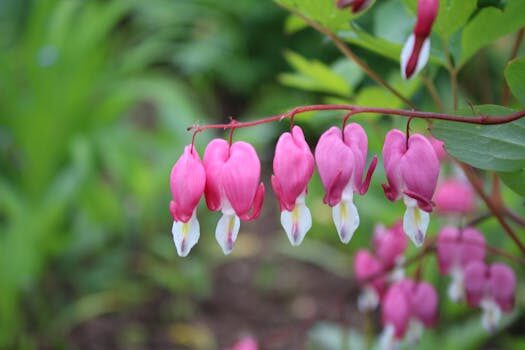 Sangrado de implantación: qué es, cuándo ocurre y cómo diferenciarlo de la regla 6 sangrado de implantacion que es cuando ocurre y como diferenciarlo de la regla 1